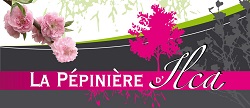 La pépinière d'Ilca