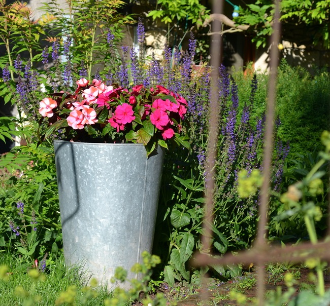 joli_pot_avec_fleurs_roses_et_violettes_dans_jardin